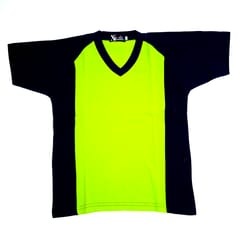 PT T-Shirt House Colour (1st to 12th Level)
