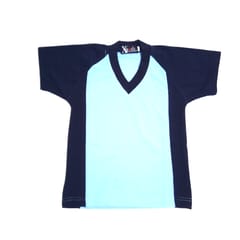 PT T-Shirt House Colour (1st to 12th Level)