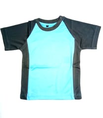 T-Shirt House Colour (1st to 12th Level)