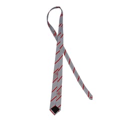 Neck Tie With Stripes (Std 8th to Std. 10th)