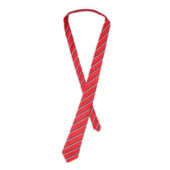 Stripes Tie (Std. 5th to 7th)