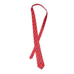 Stripes Tie (Std. 5th to 7th)