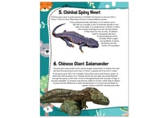 101 Amazing Animals - Encyclopedia for 7 to 10 Year Old Kids